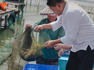 chef using net to catch crabs with fisherman