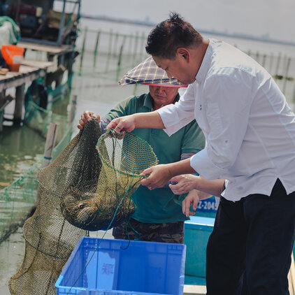 chef using net to catch crabs with fisherman